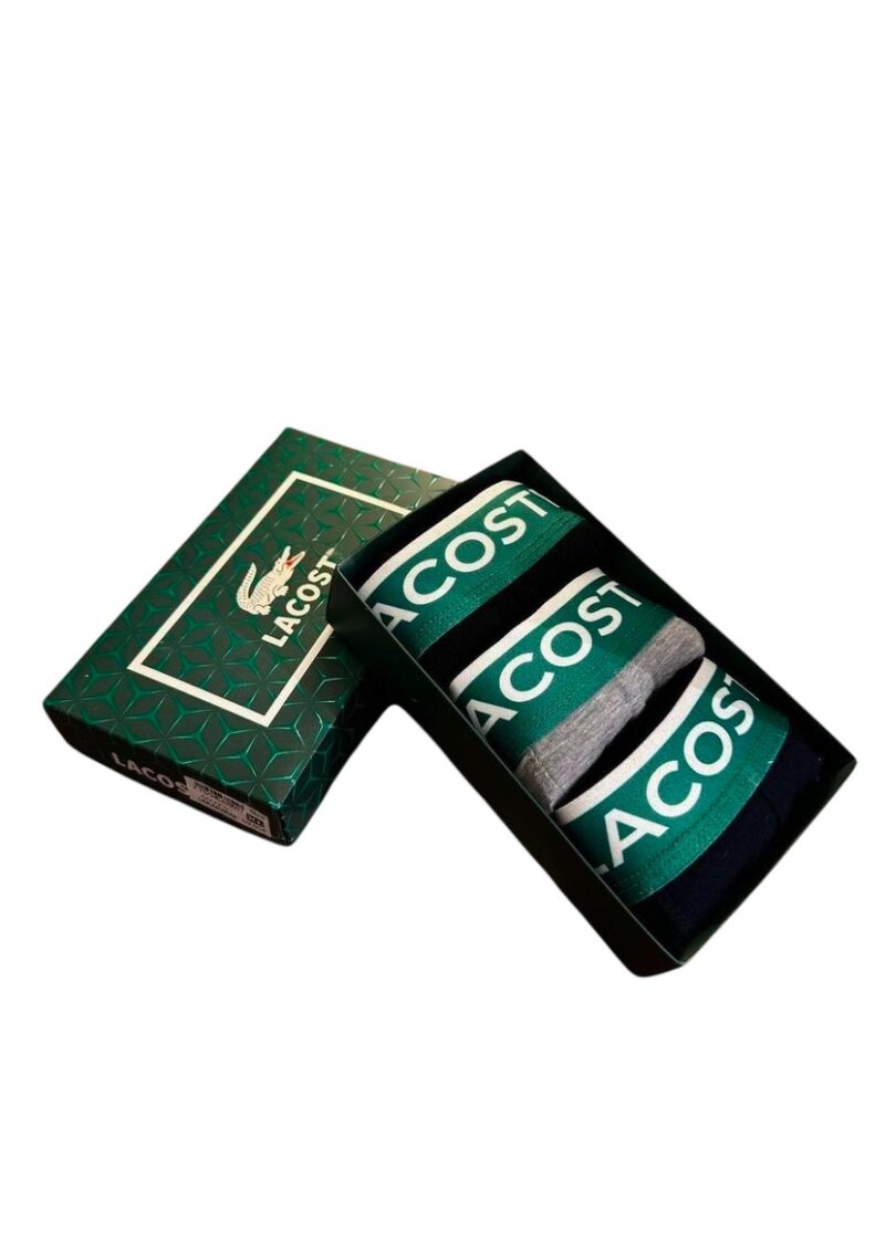 Pack of 3 in assorted lacoste colors